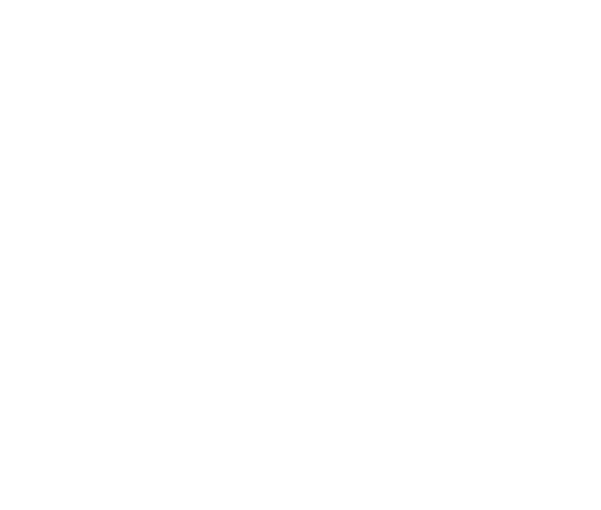 Polish Space Fellowship Program